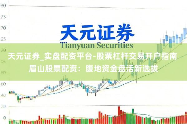 天元证券_实盘配资平台-股票杠杆交易开户指南 眉山股票配资：腹地资金盘活新选拔