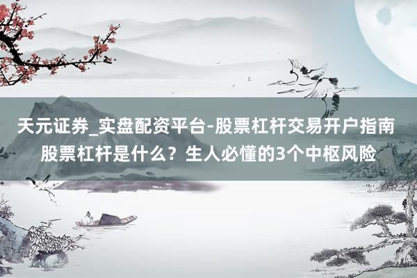 天元证券_实盘配资平台-股票杠杆交易开户指南 股票杠杆是什么？生人必懂的3个中枢风险