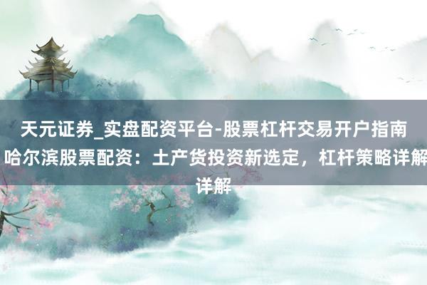 天元证券_实盘配资平台-股票杠杆交易开户指南 哈尔滨股票配资：土产货投资新选定，杠杆策略详解